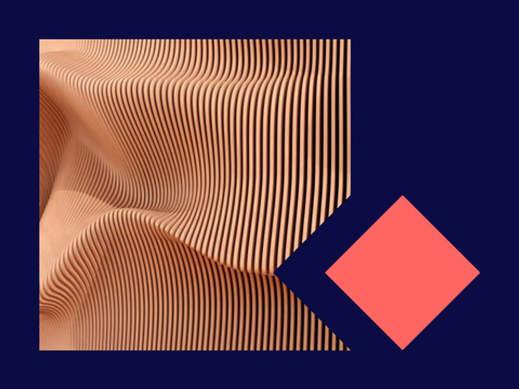 Website Insight image data dinner