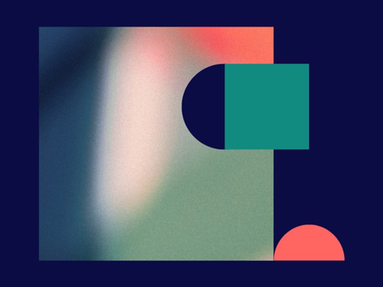 Website Insight image software dinner